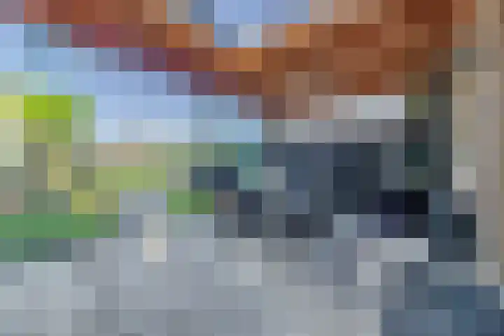 Heensedijk 37 De Heen thumbnail 34