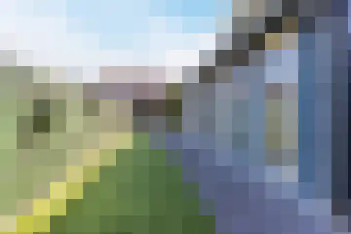 Heensedijk 37 De Heen thumbnail 39