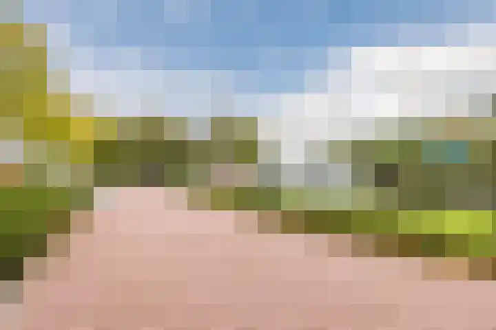 Heensedijk 37 De Heen thumbnail 47