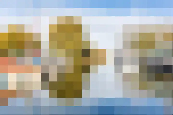 Heensedijk 37 De Heen thumbnail 48