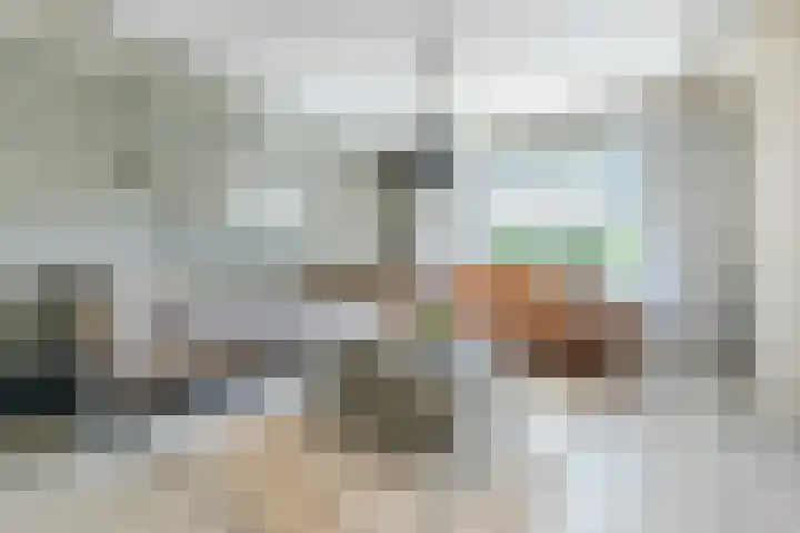 Heensedijk 37 De Heen thumbnail 6
