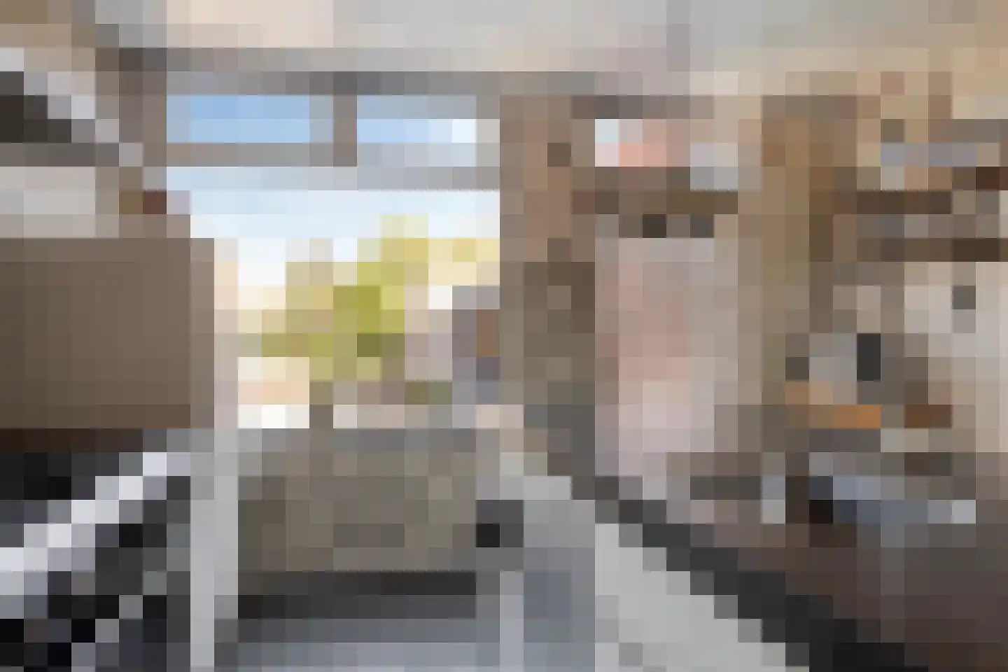 Heensedijk 47 a De Heen thumbnail 17