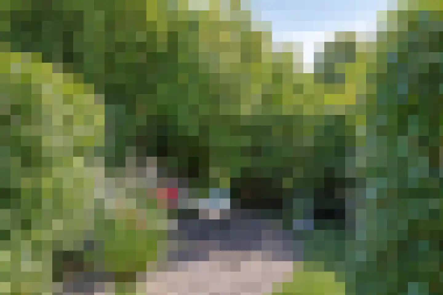 Heensedijk 47 a De Heen thumbnail 50