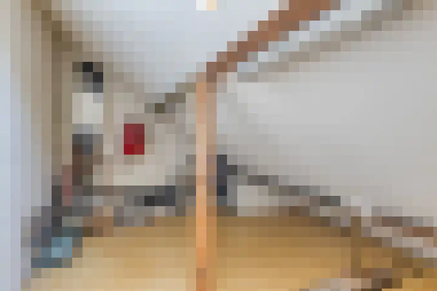 Heenvlietsestraat 36 Schiedam thumbnail 17