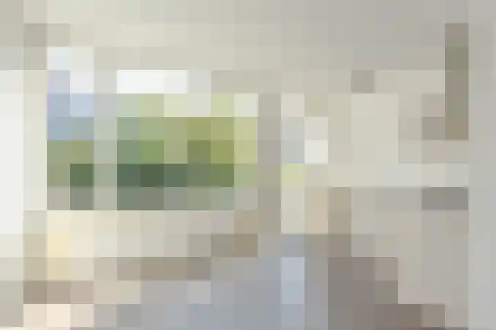 Heenvlietstraat 20 A Rotterdam thumbnail 12