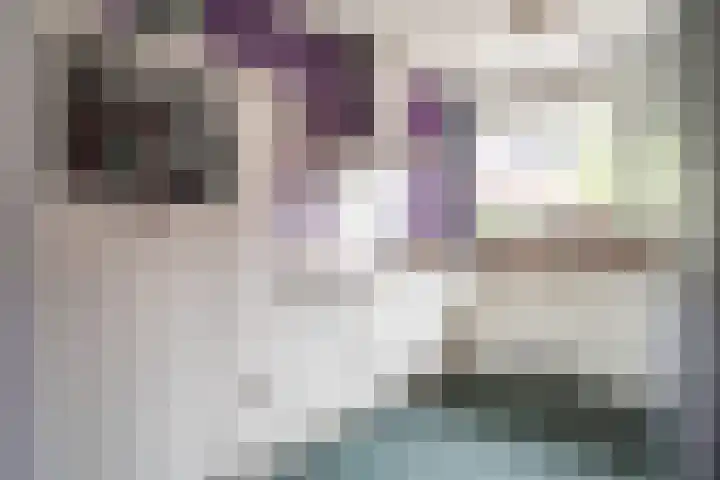 Heenvlietstraat 32 Zoetermeer thumbnail 12