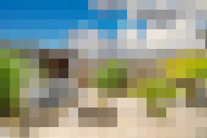 Heenvlietstraat 32 Zoetermeer thumbnail 22