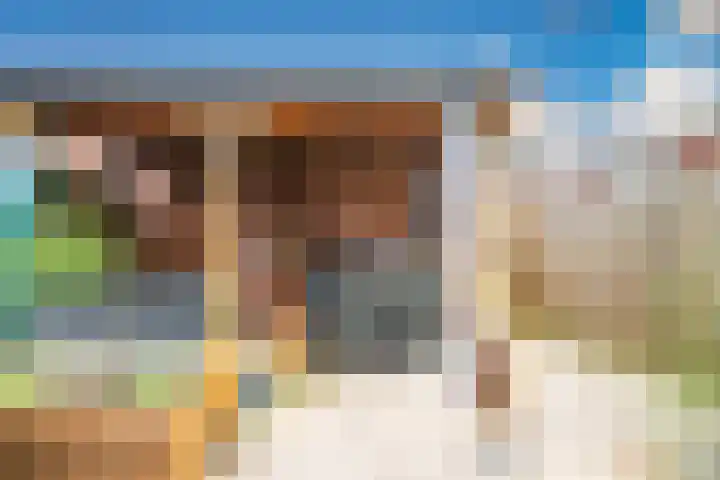 Heenvlietstraat 32 Zoetermeer thumbnail 23