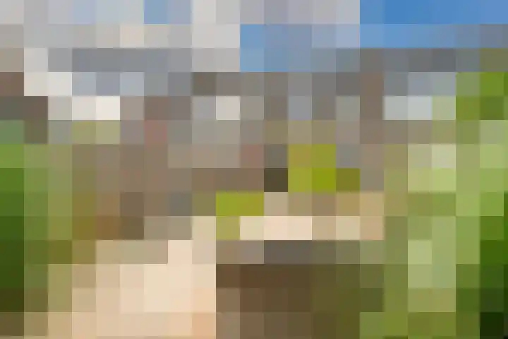 Heenvlietstraat 32 Zoetermeer thumbnail 27