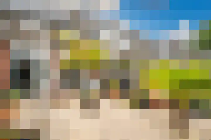 Heenvlietstraat 32 Zoetermeer thumbnail 28