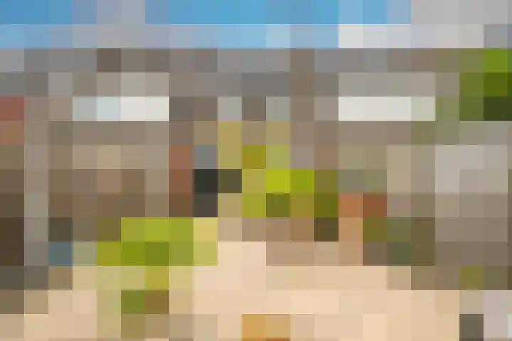 Heenvlietstraat 32 Zoetermeer thumbnail 29