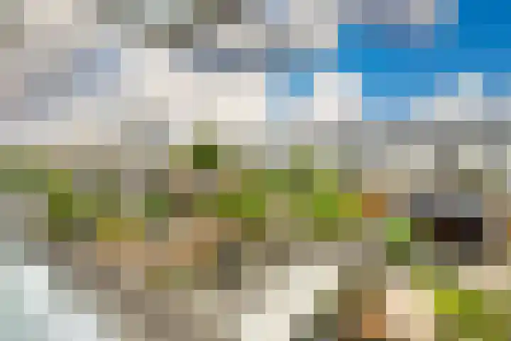 Heenvlietstraat 32 Zoetermeer thumbnail 36