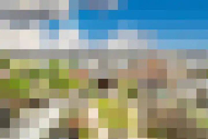 Heenvlietstraat 32 Zoetermeer thumbnail 37