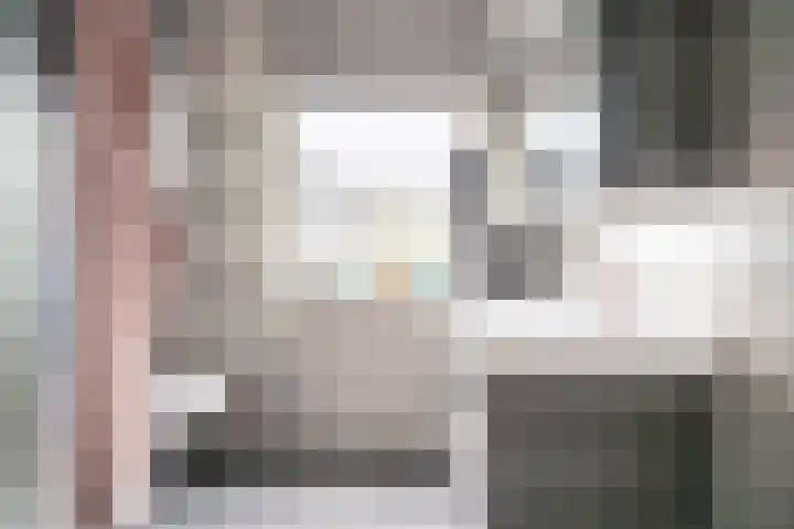Heenvlietstraat 32 Zoetermeer thumbnail 42
