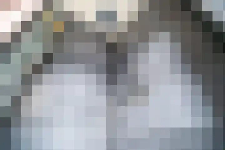 Heenvlietstraat 32 Zoetermeer thumbnail 43