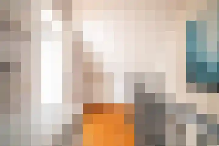Heenvlietstraat 32 Zoetermeer thumbnail 48