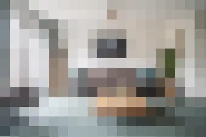 Heenvlietstraat 32 Zoetermeer thumbnail 5