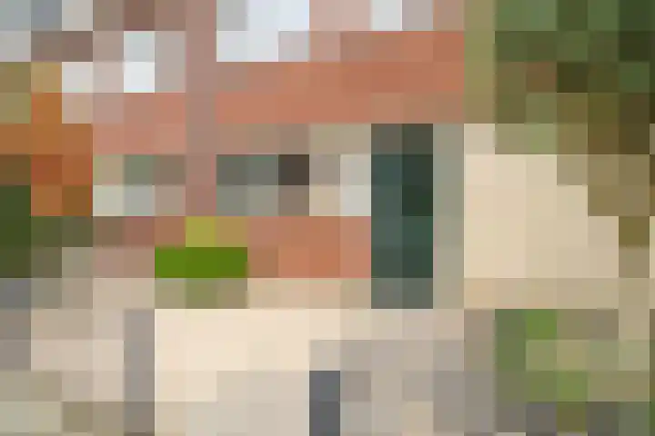 Heenvlietstraat 32 Zoetermeer thumbnail 52