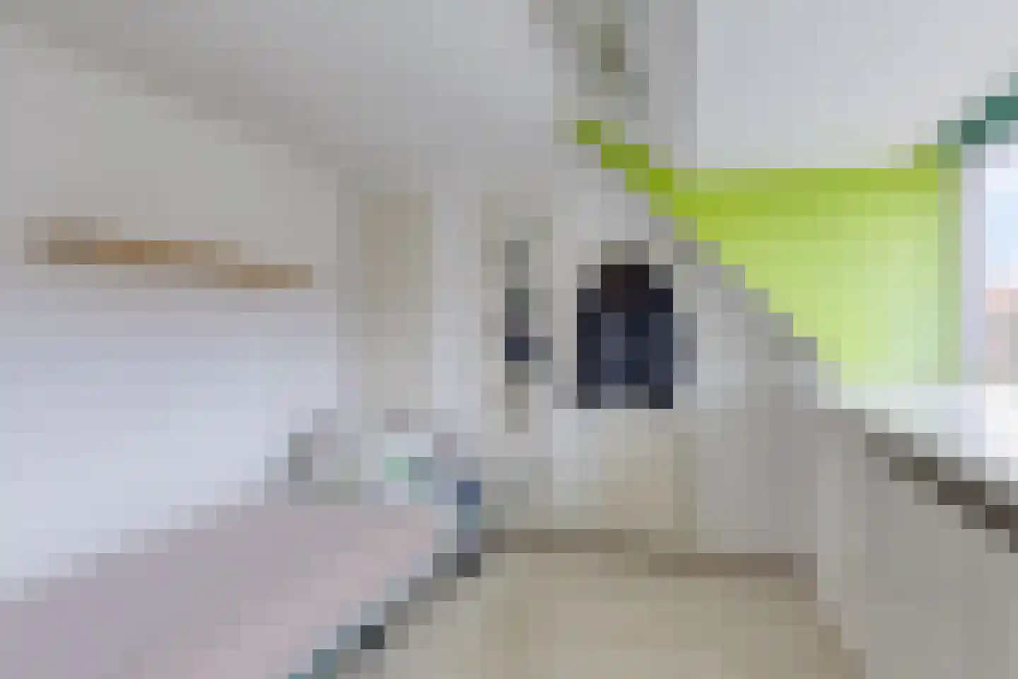 Heenvlietstraat 40 Rotterdam thumbnail 29