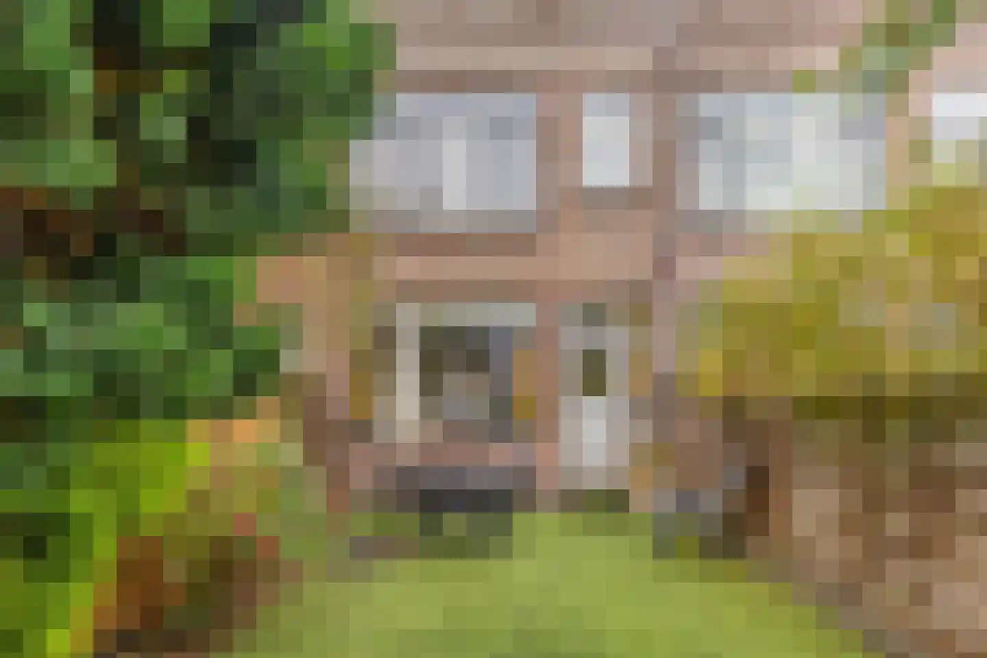 Heenvlietstraat 40 Rotterdam thumbnail 34