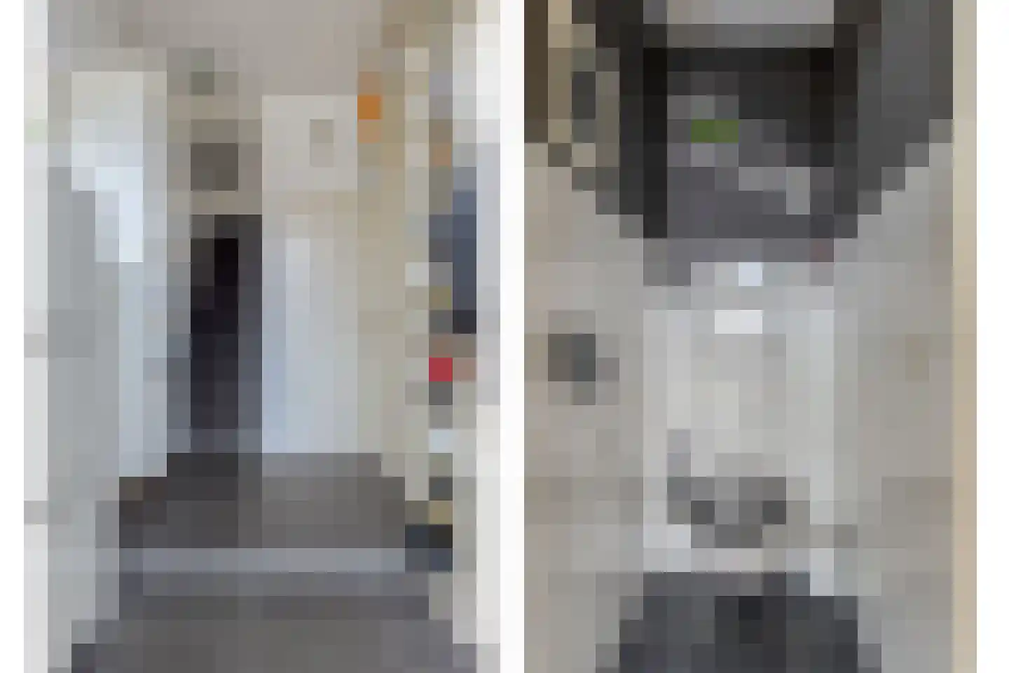 Heenvlietstraat 40 Rotterdam thumbnail 5