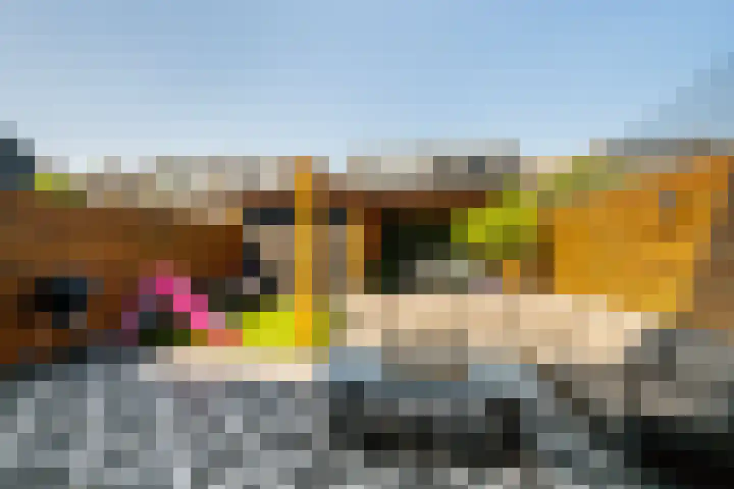 Heenweg 29 's-Gravenzande thumbnail 11
