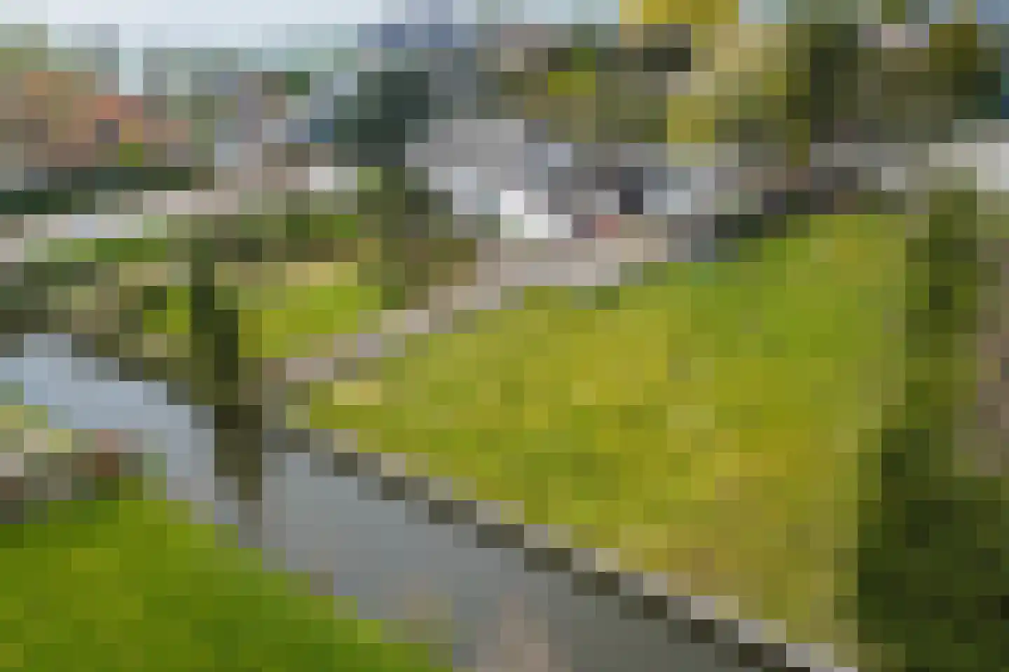 Heenweg 38 in 's-Gravenzande