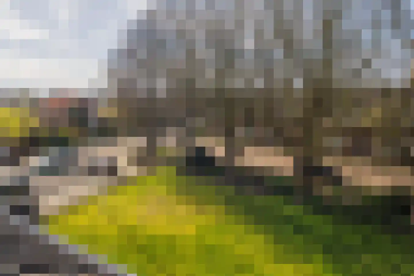 Heenweg 59 E 's-Gravenzande thumbnail 19