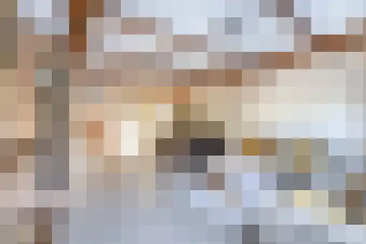 Heepvoorde 10 Spijkenisse thumbnail 14