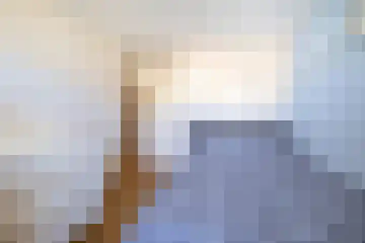 Heepvoorde 10 Spijkenisse thumbnail 33