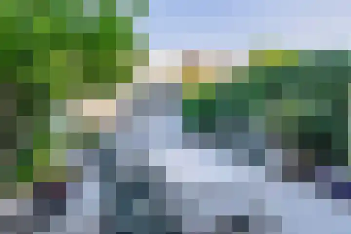 Heepvoorde 10 Spijkenisse thumbnail 4