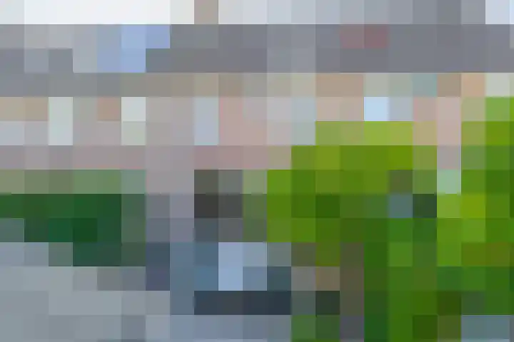 Heepvoorde 10 Spijkenisse thumbnail 50