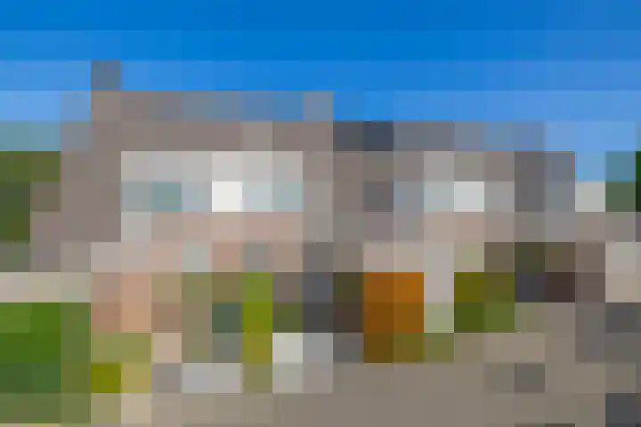 Heepvoorde 10 Spijkenisse thumbnail 7