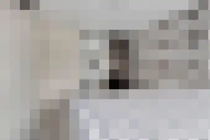 Heepvoorde 12 Spijkenisse thumbnail 17