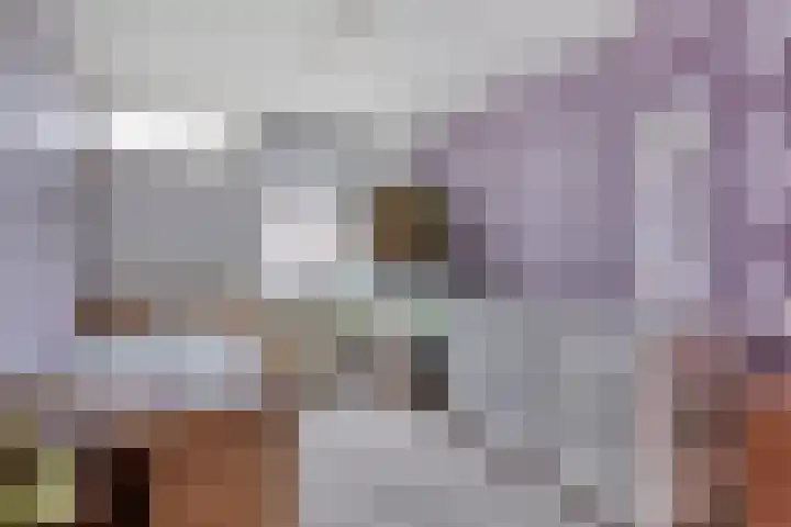 Heepvoorde 12 Spijkenisse thumbnail 18