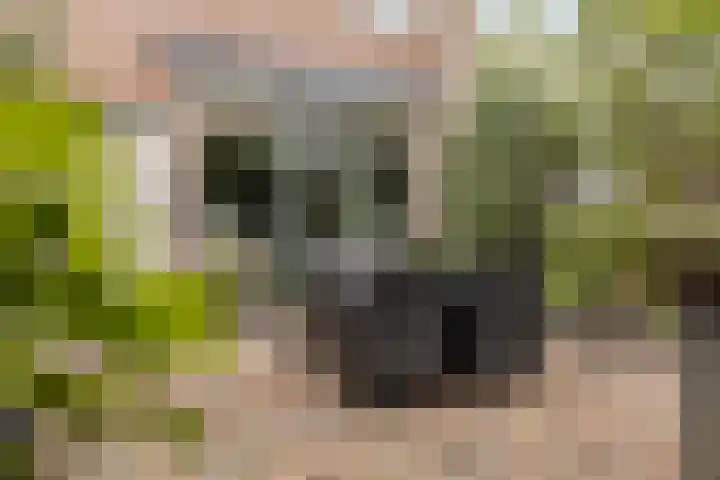 Heepvoorde 12 Spijkenisse thumbnail 23