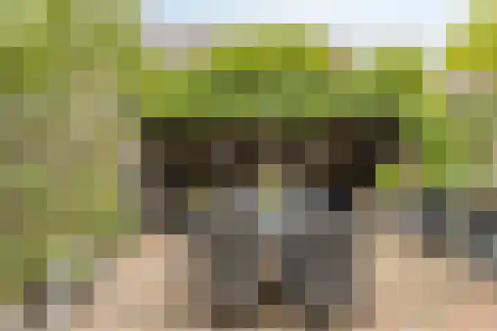 Heepvoorde 12 Spijkenisse thumbnail 25