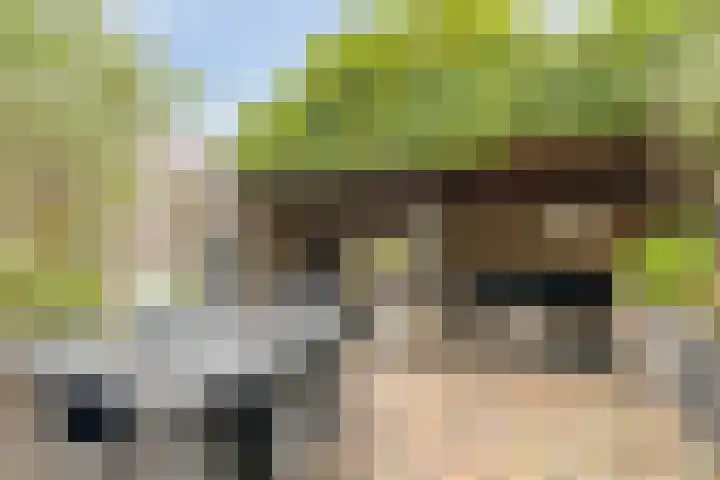 Heepvoorde 12 Spijkenisse thumbnail 26