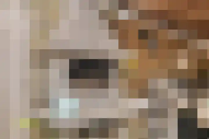 Heepvoorde 12 Spijkenisse thumbnail 28