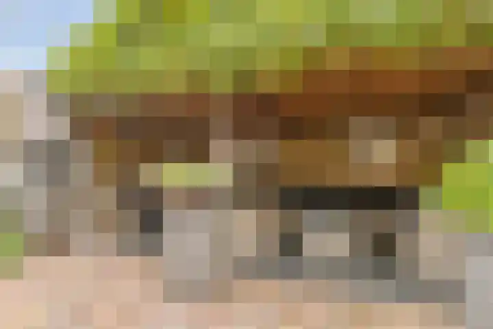 Heepvoorde 12 Spijkenisse thumbnail 29