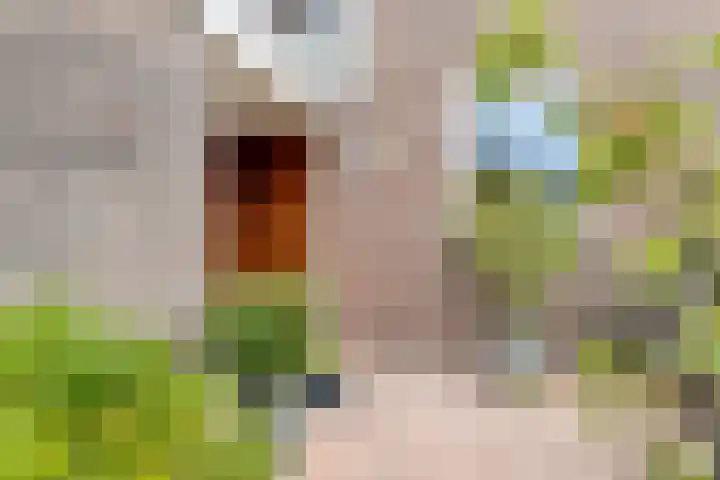 Heepvoorde 12 Spijkenisse thumbnail 30