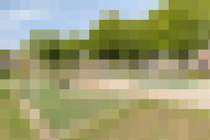 Heepvoorde 12 Spijkenisse thumbnail 35