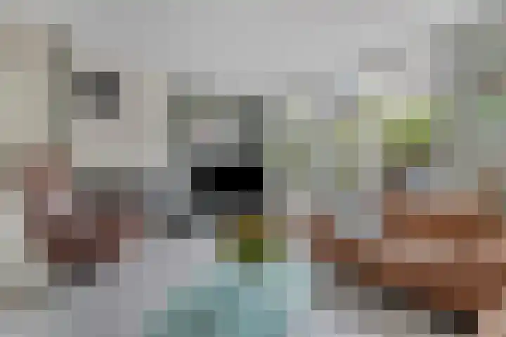 Heepvoorde 12 Spijkenisse thumbnail 4