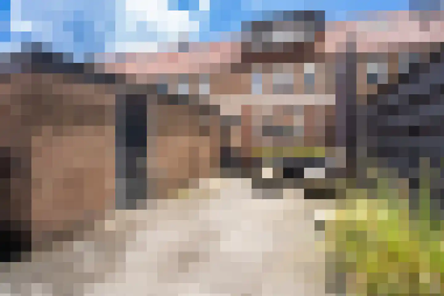 Heer Arnoldstraat 5 IJsselstein thumbnail 34