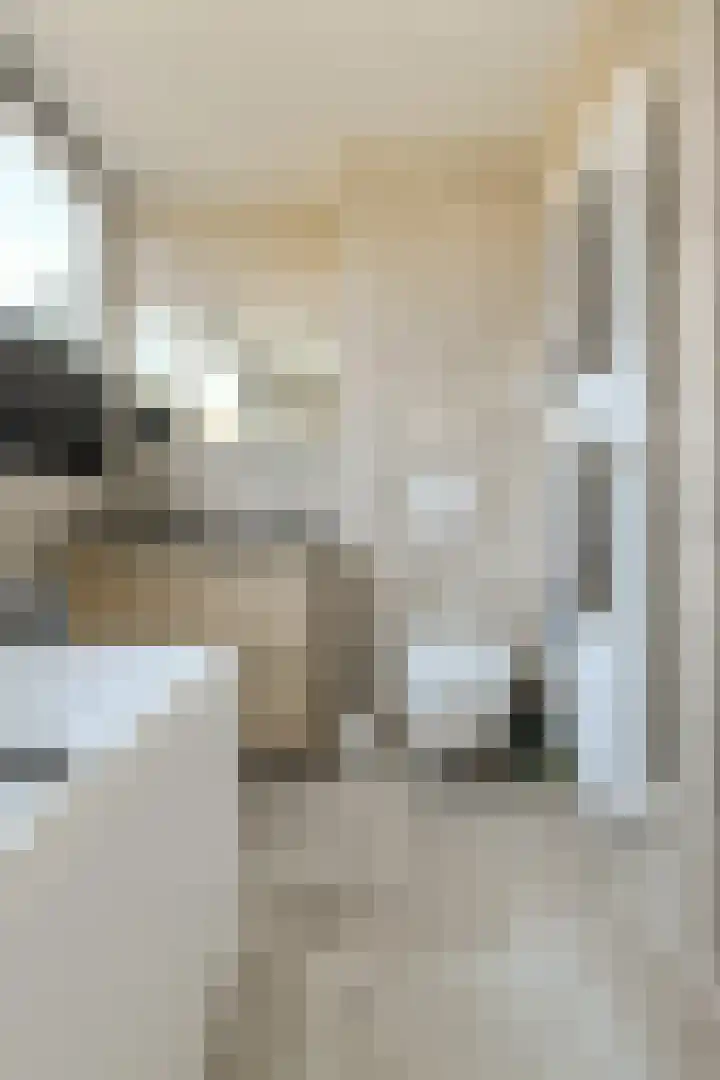 Heer Arnoudstraat 1 Oosterhout thumbnail 28