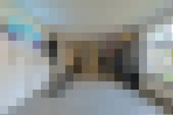 Heer Arnoudstraat 1 Oosterhout thumbnail 34
