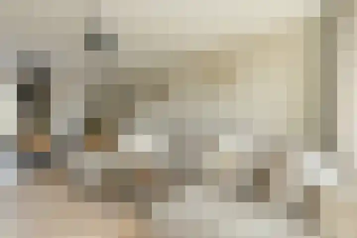 Heer Arnoudstraat 1 Oosterhout thumbnail 4