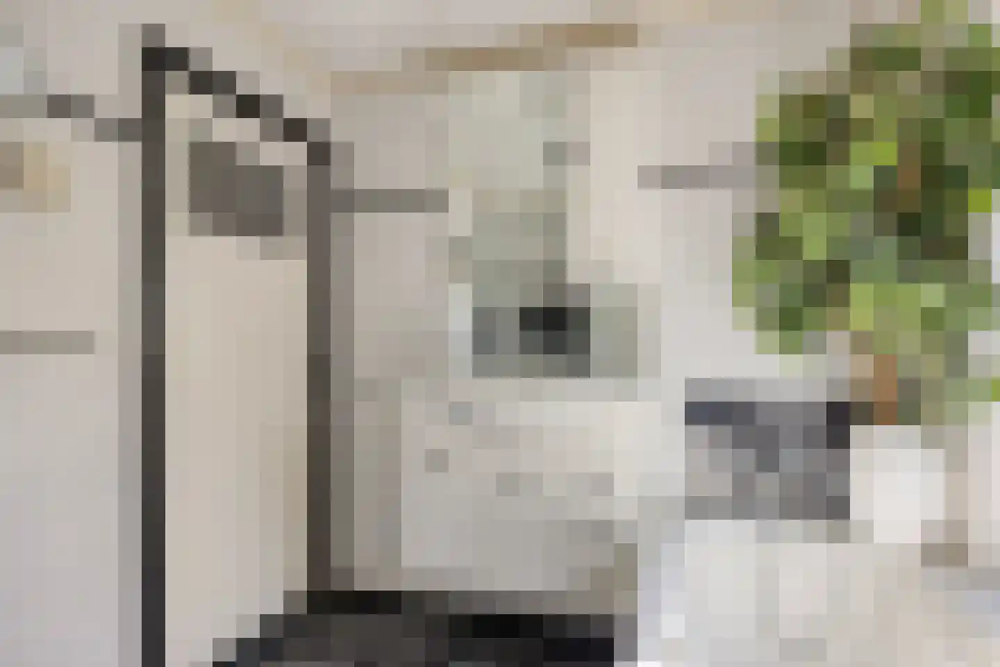 Heer Arnoudstraat 11 Oosterhout thumbnail 14