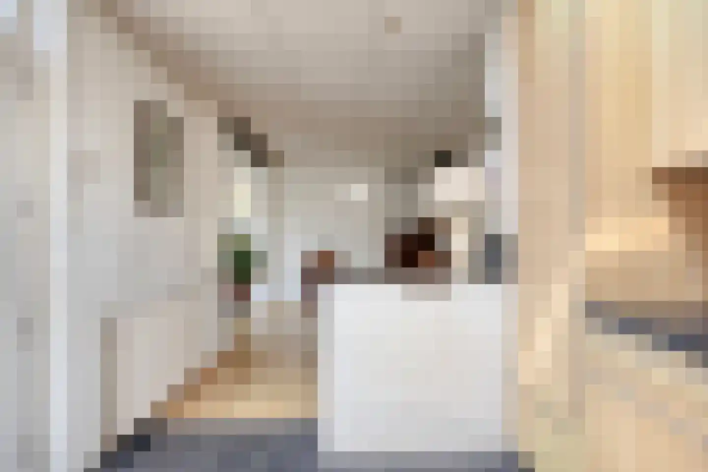 Heer Arnoudstraat 11 Oosterhout thumbnail 27