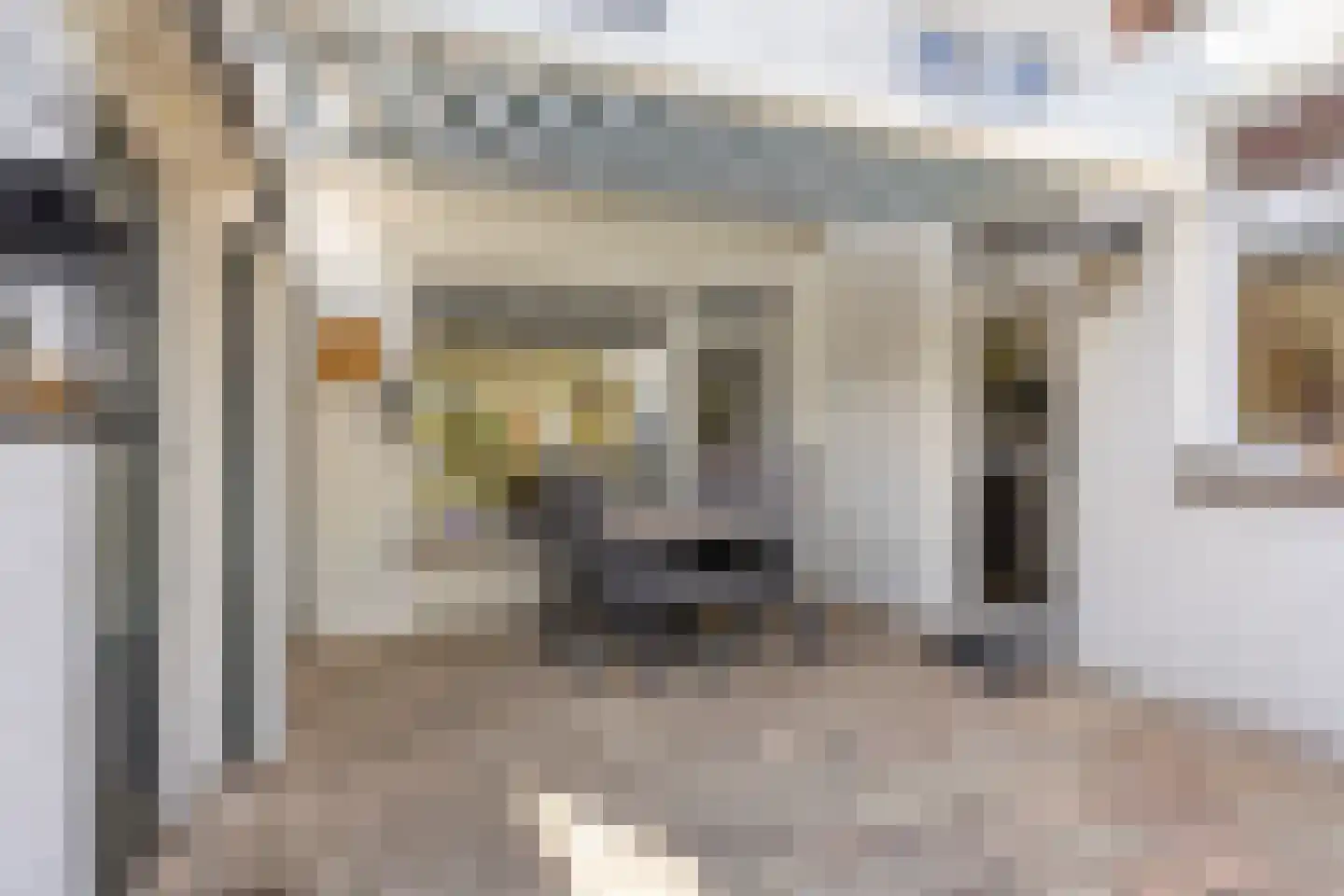 Heer Arnoudstraat 11 Oosterhout thumbnail 47
